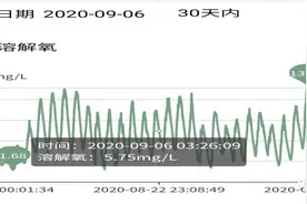 河蟹五壳冲刺期，如何让你的河蟹早上市？图片