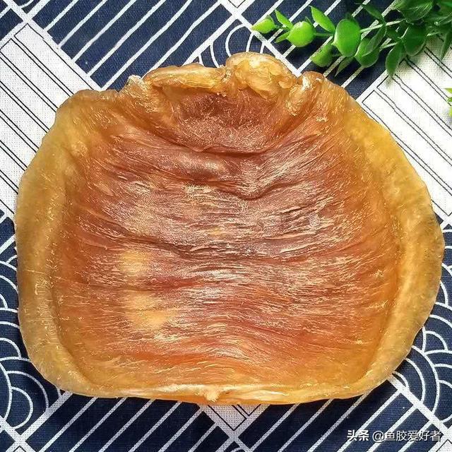 大口和豆仁鱼胶 2026年豆仁胶和大口鱼胶哪种好