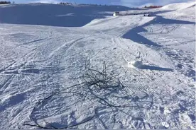 滑雪场现“致命电缆”：冰雪运动事故频发谁来监管？图片