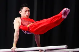 2金2银2铜！中国体操男队大翻身，吊环双杠夺冠，全能丢金留遗憾图片