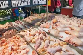 冷冻鸡肉为何那么便宜？能经常吃吗？有没有营养？看完你就明白了图片