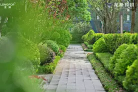 龙湖，一住就是好多年图片