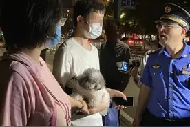 5天立案68起，捕捉流浪犬201只，宁波养犬大整治！图片