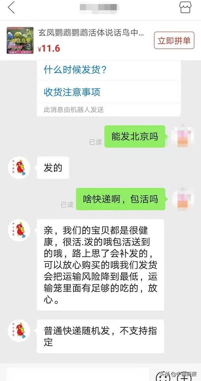 月销上万、包邮依旧，宠物寄递不是“包活”这么简单