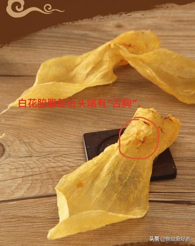 白花胶和黄花胶的区别 2026年白花胶和黄花胶的区别是什么