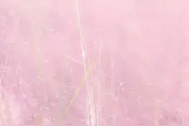 抓住秋天的小尾巴，领略尼山最美秋色！图片