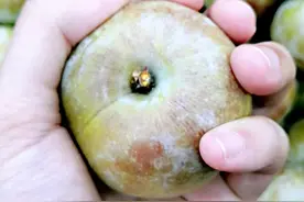 社保参保证明打印流程，这种途径最快捷，我猜你肯定用得上图片