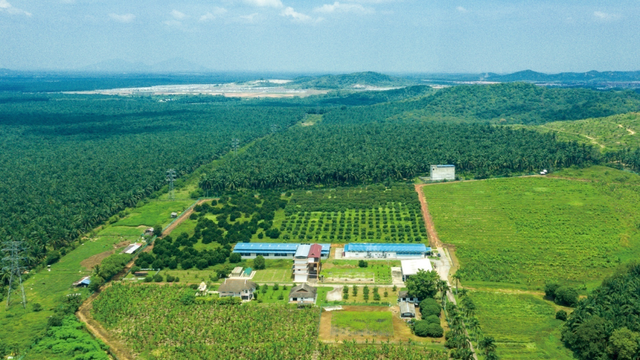 花胶炖燕窝牛奶 2026年花胶炖燕窝牛奶的功效