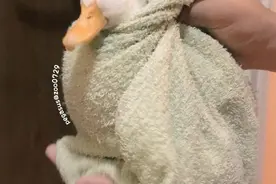 捡到价值上万的鸭子上交，警察不收，却让小姑娘得到宝贝图片