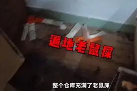 猪肺当抹布、洗碗布洗鞋、老鼠麻酱一起住？杨国福火速致歉，网友：他家给我煮过蜈蚣图片