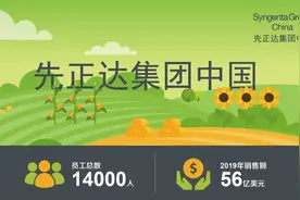 先正达中国正式成立：涵盖四大业务单元 年销售56亿美元图片