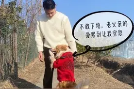 林生斌幕后写手曝光，北京全款买房，称自己有抑郁症：上天饶过谁图片