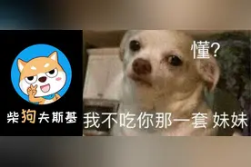 为什么现在的电商卖家，好像都不怕差评了？图片
