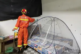 喂！你好！请问是119嘛？我家被毛毛虫袭击了...........图片