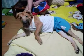 我有个朋友说他怕痒，于是点了进来图片