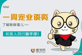 深圳犬只免费注射芯片，浙江一女士将柯基送进了派出所图片