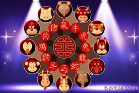 盘点12生肖歇后语，全都知道的人寥寥无几图片