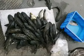 暴晒三天还能活吗？清道夫的顽强让网友大开眼界：没了头还在游动图片