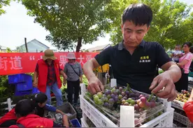 四川小伙开水果店，利用“水果拼盘”，年赚60万，套路真的深图片