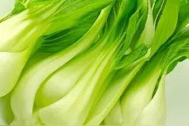 “我说乾隆白菜是凉菜也是杠？”关于节目吵架事件的一点看法图片