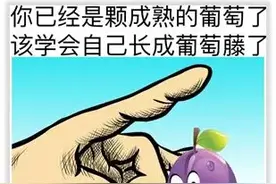 葡萄藤的成长日记图片