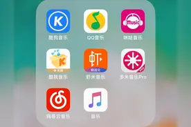央媒痛批QQ音乐、网易云音乐、酷狗音乐：故意诱导粉丝消费图片