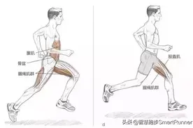 跑步时送髋和不送髋有什么区别（附训练动作）图片