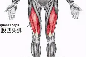跑步时，脚掌还是脚跟先落地？掌握这七个技巧，跑步不伤膝图片