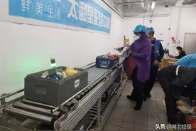 为满足武汉市民需要 盒马计划在汉招工1000人图片