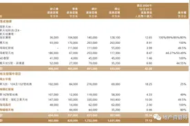 瑞安拟打包出售估值100亿上海项目图片
