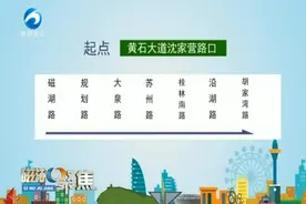 站点公布！湖北一地级市首条有轨电车来了，远期可对接顺丰机场图片