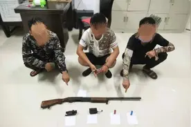 打死两只鸭子被行拘！猎杀两只野鸭呢？切勿以身试法！图片