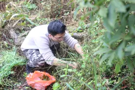 玩转重庆千年古道，彩绘墙，野温泉，挖野菜，品美食，坐轮渡图片