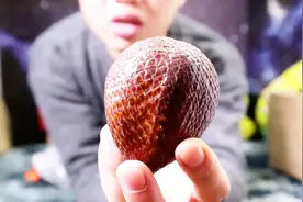 开箱试吃印尼蛇皮果，外表犹如蛇皮一般，没见过都有点害怕吃视频封面