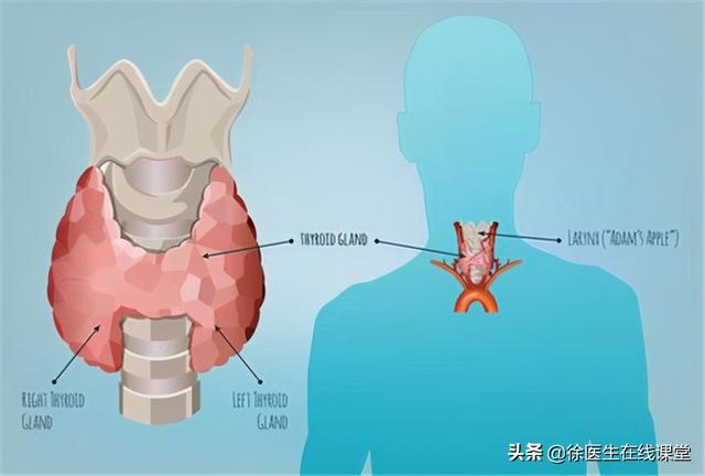 甲状腺胶质结节和结节的区别 2026年甲状腺胶质结节和结节的区别图片