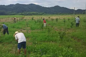 江西武宁：脱贫攻坚  一个民族群众都不能少图片