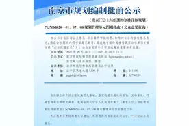 南京江宁青龙山国际生态新城规划有变图片