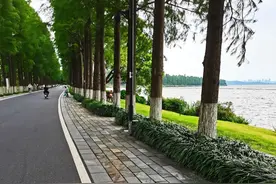 沿着东湖绿道骑行，梦中的绿道在眼前延伸，一切仿佛又回到昨天图片