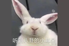 最帅的黄金单身汉其实也隐婚生子了？图片