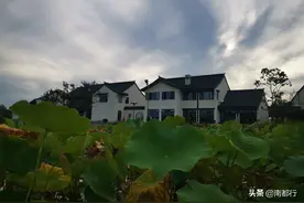 南阳世界月季大观园：没有文化便没有思念图片