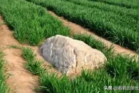 世界上最矮的山就在中国山东，才这么一点高，为什么没人敢爬呢？图片