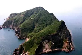 大连蛇岛上的蛇为何越来越凶猛？一度伤痕累累，如今重焕生机图片