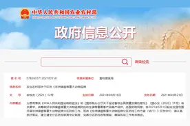 5月1日起执行分区防控！生猪跨区限调真的来了，猪价还有戏吗？图片