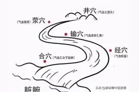 五腧穴概念和功效图片