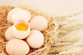 富硒鸡蛋，你吃了没？图片