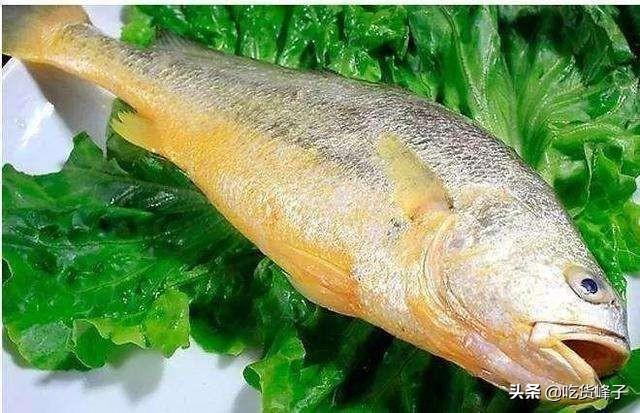 黄花鱼的区别 2026年野生黄花鱼和养殖黄花鱼的区别