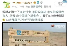 支付宝搞事情？偷能量种树都是假的？图片