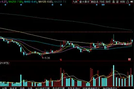 网宿科技后期走势图片