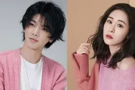 收入骤减2487万元，张碧晨“为爱生女”这一年都付出了什么？图片