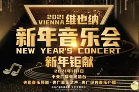 聆听来自维也纳的声音图片